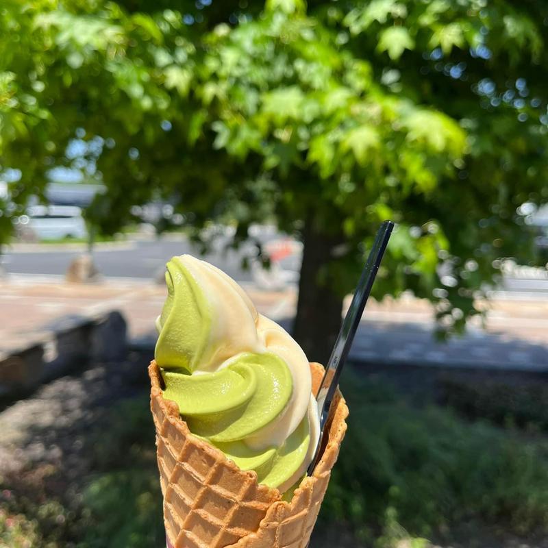 名古屋コーチンのカスタードソフト&西尾の抹茶ミックス(伊藤和四五郎商店 NEOPASA岡崎店)