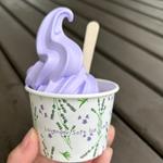 ラベンダーソフトクリーム(ファーム富田)