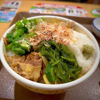 山かけめかぶオクラ牛丼(並)(すき家 仙台定禅寺通店)