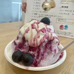 ぶどうミニ