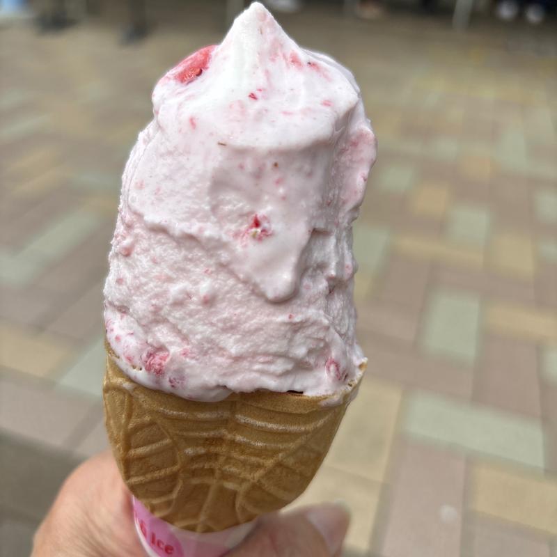 ソフトクリーム(芳賀町)