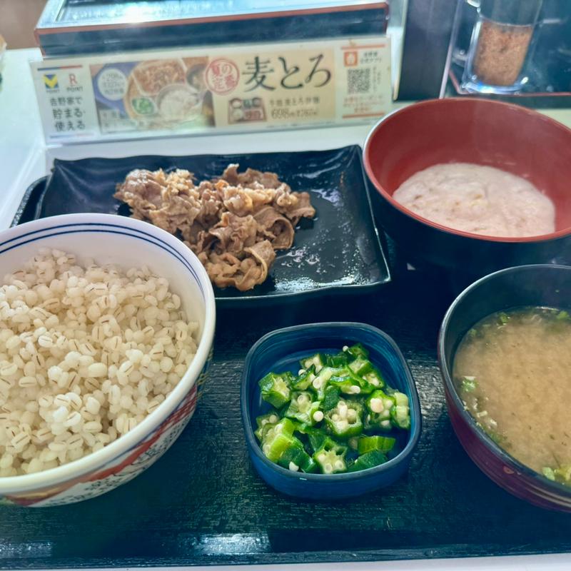 牛皿 麦とろ御膳(吉野家 179号線津山店 )