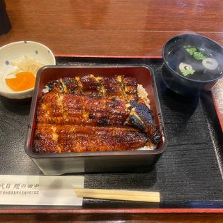 うな重(松)(三代目 鰻の田中)