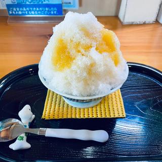 生パイナップルかき氷(かき氷🍧メダカ屋🐟ごえんさん)