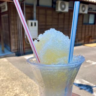 山口県名産天然果汁使用 夏みかん