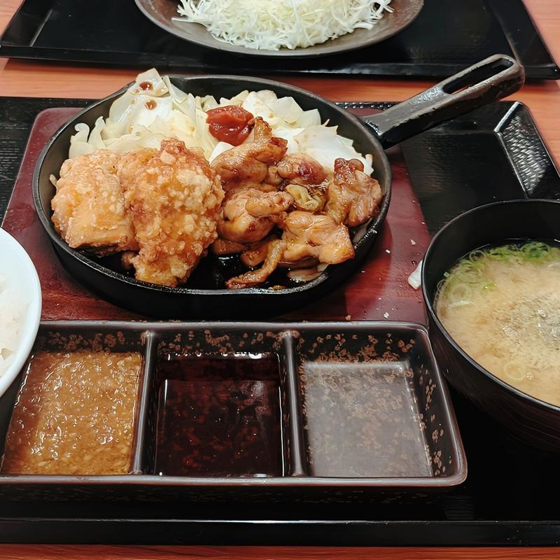 からやま焼きの二種盛り定食（たれ）(からやま 茨木耳原店)