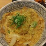 ミニかつ丼