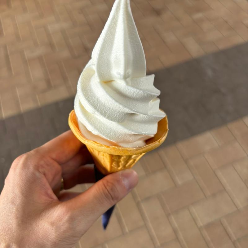 塩ミルクソフトクリーム(ジェラート ピケ カフェ クレープリー 御殿場アウトレット （Gelato Pique Cafe Creperie）)