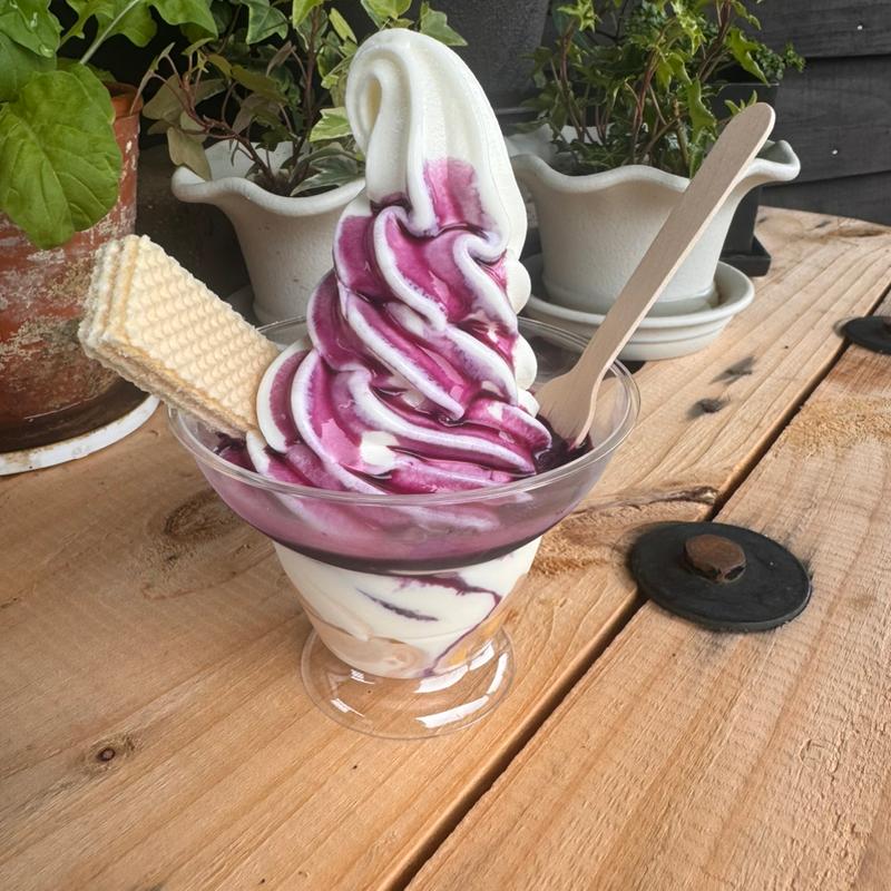 赤ブドウ(㈱宝水ワイナリー)