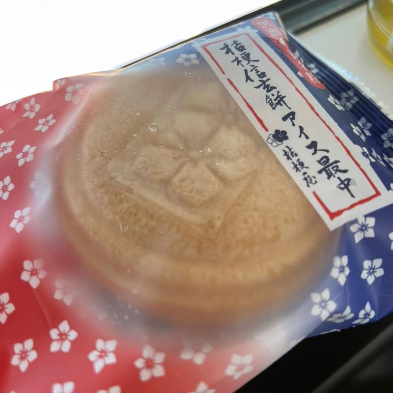 桔梗信玄餅アイス最中(桔梗屋工場 アウトレット)