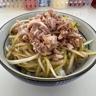 ネギご飯