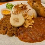 2色のスパイスカレー
