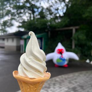 枝豆ソフトクリーム(トキの森公園売店 )