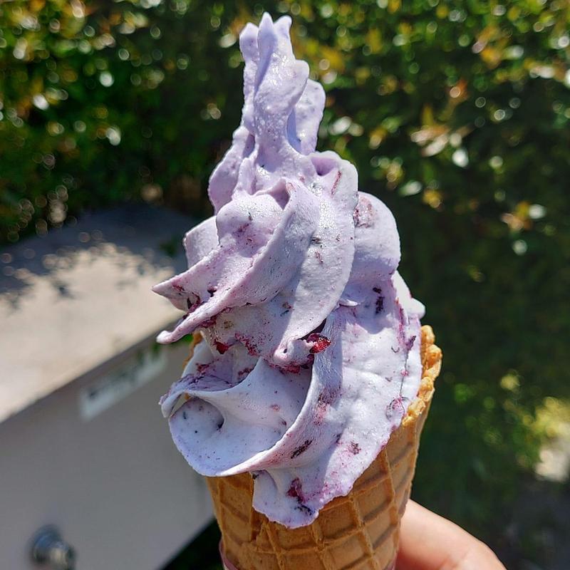 ブルーベリーソフト(おみやげ·フードコート(道の駅 針テラス))