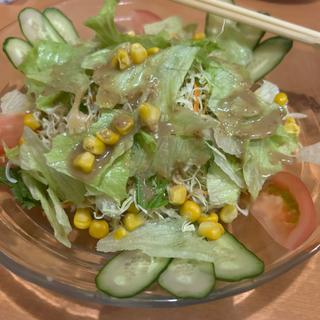 野菜サラダ(燃燃 （ネンネン）)