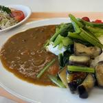 広島夏野菜カレー(広島県庁東館８階食堂 )