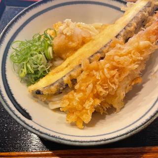 海老天おろしぶっかけ(大和製麺 )