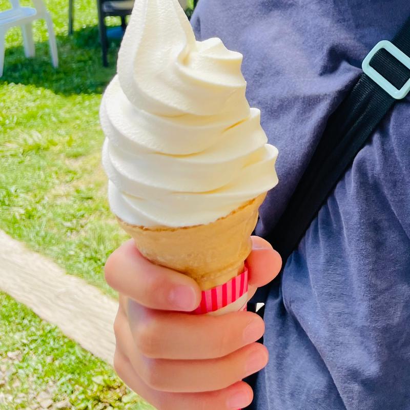 ソフトクリーム(やつれん 本社工場併設直売所 )