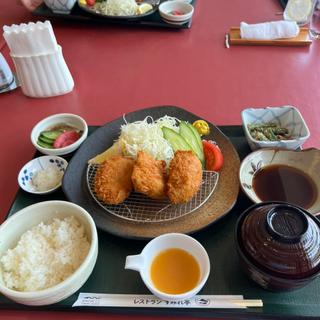 ヒレカツおろしポン酢定食(すみれコース )