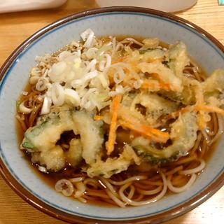 ゴーヤ天そば(福そば )