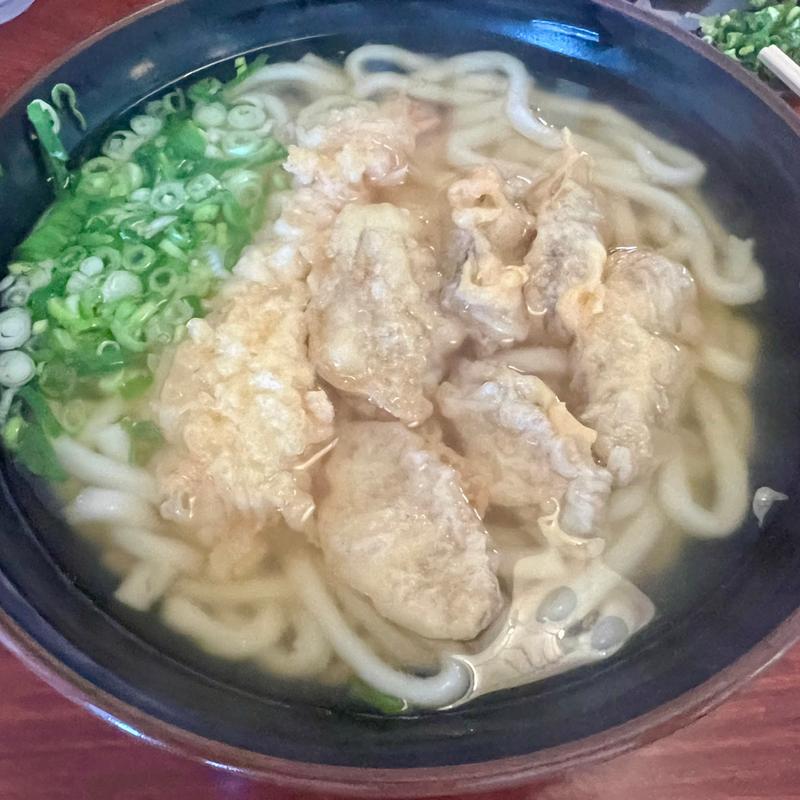 えびごぼ天うどん大(立花うどん)