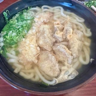 えびごぼ天うどん大