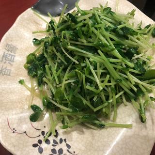 豆苗(香酒縁 五反田店)
