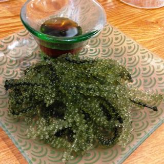 海ぶどう(沖縄酒場 じゅにまーる 武蔵小杉一番街店)