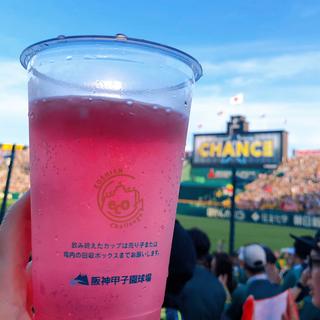 巨峰チューハイ(阪神甲子園球場)