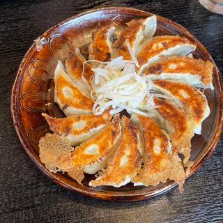 浜松餃子(五味八珍 大井松田店 )