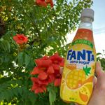 ファンタ