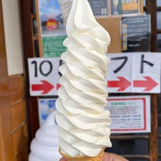 10段ソフト