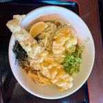 穴子天おろしうどん（冷・単品）(得得 京都洛西店 （とくとく）)
