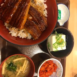 特ウナ丼（ウナギ2枚　御飯大盛）(すき家 大和りんかんモール店 )