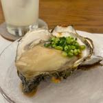 的矢の岩牡蠣(ニケノシマ)