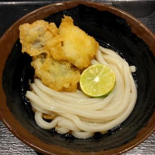 はも天ぶっかけ(小)(本場さぬきうどん めりけんや 武蔵小杉店)