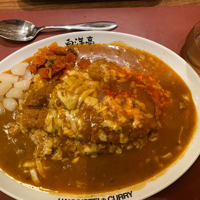 とんかつチーズカレー大盛（ルー・ライス共に）(旨辛カレー専門店 白洋亭 青山本店)