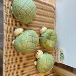 かめさん　メロン
