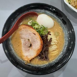 豚骨白湯玉子入り(のだ麺 ～縁～ )