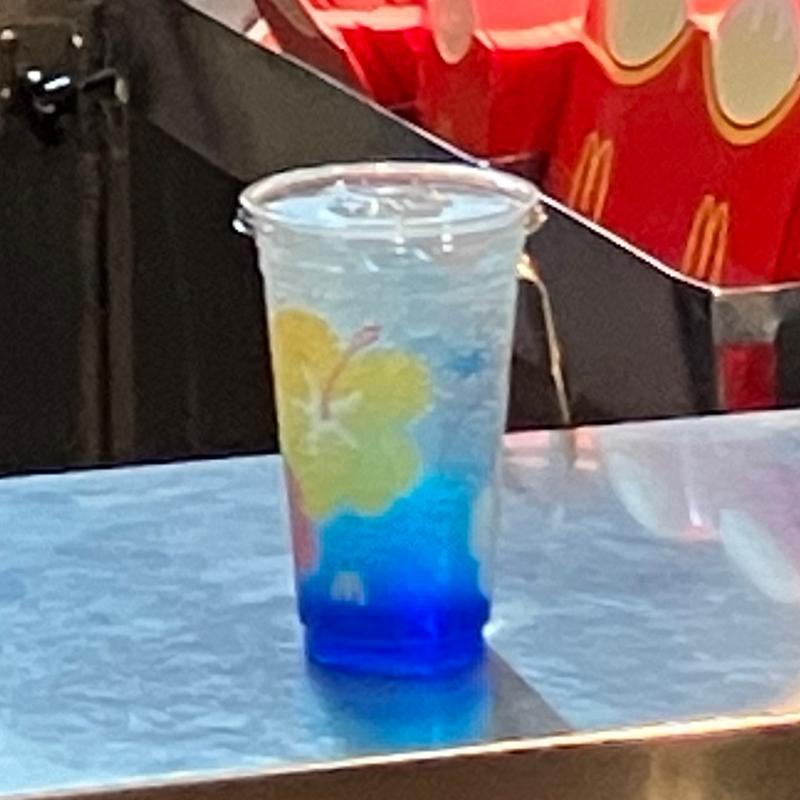 マックフィズ(マクドナルド 関西国際空港店)