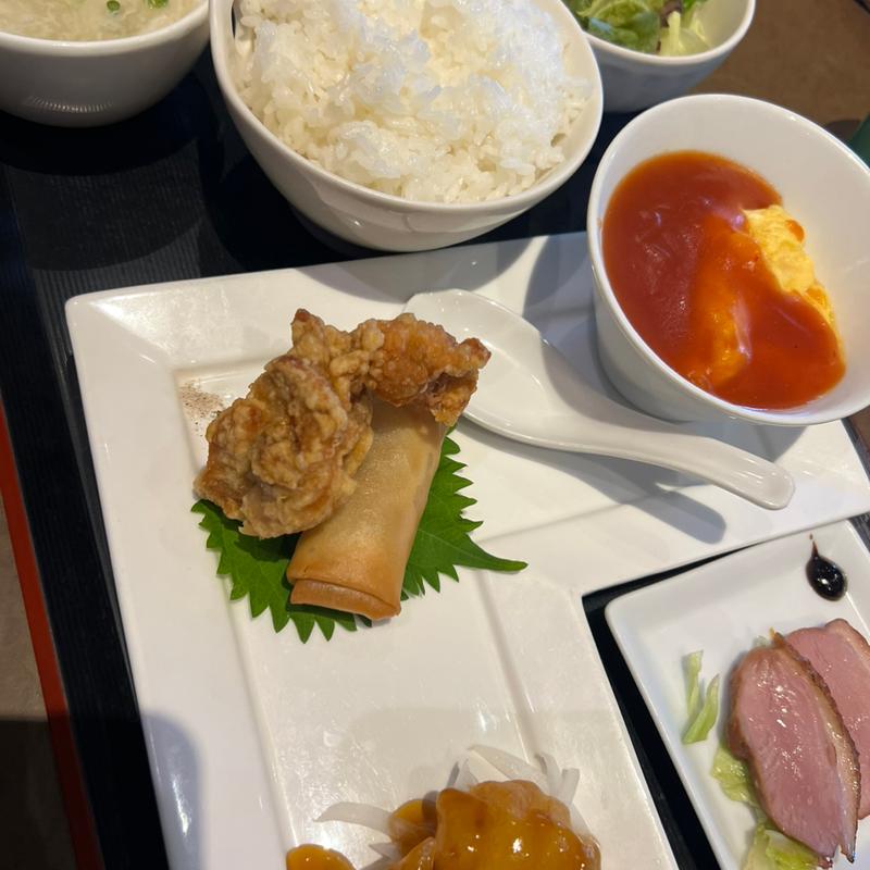 プレートランチ　（平日のみ）(海鮮中華厨房 張家 チャンジャ 北京閣)