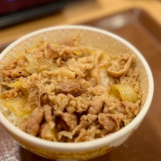 牛丼/並(すき家 札幌ポールタウン店)