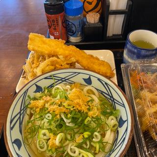 冷かけうどん(丸亀製麺 桑名店 )