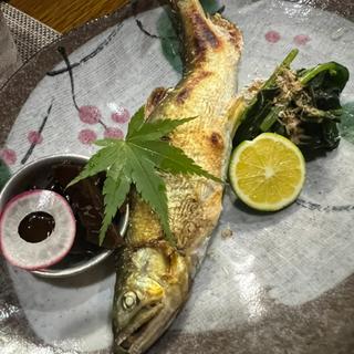 鮎の塩焼き(よもぎ)