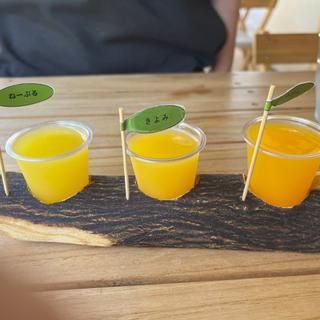 100%ピュアジュース飲み比べセット(伊藤農園ショップ みかんの木)