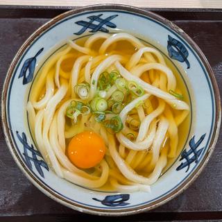 冷かけうどん（大盛）(宮武讃岐うどん ららぽーと豊洲店)