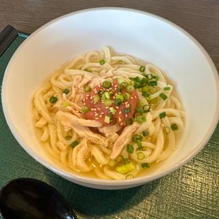 冷やしタラコうどん◥█̆̈◤࿉∥(きはちらくはち 本店 )