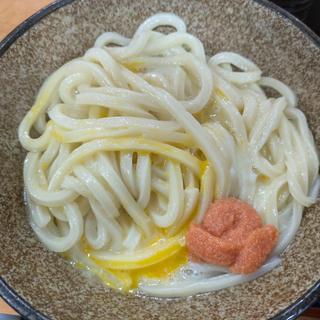 めんたい釜玉うどん(こがね製麺所 高松春日店 )