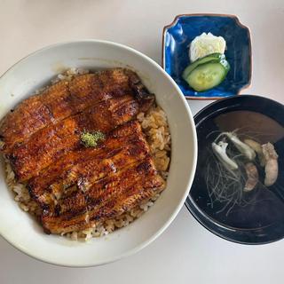 うな丼(割烹蒲焼 わかな)