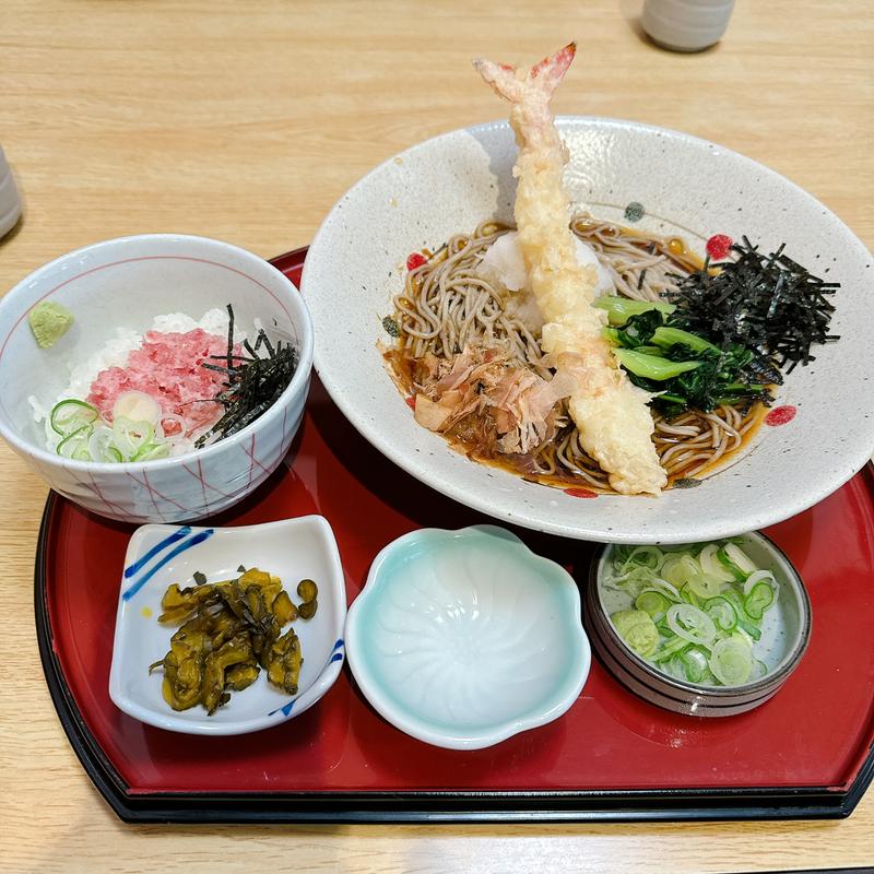 大海老天おろし蕎麦とミニネギトロ丼(サガミ 富田林店)